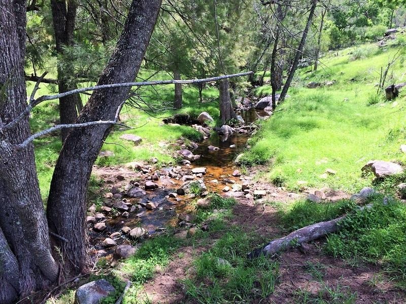 Tenterfield NSW 2372