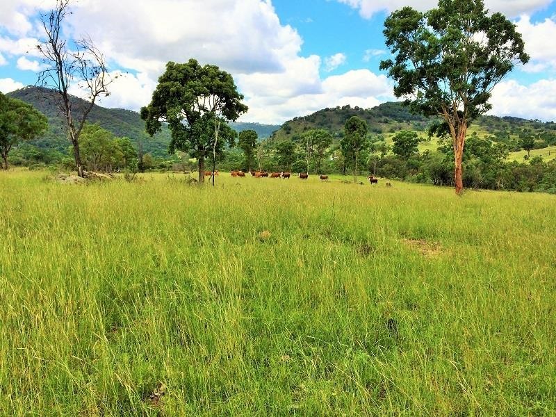 Tenterfield NSW 2372