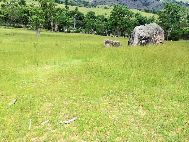 Tenterfield NSW 2372