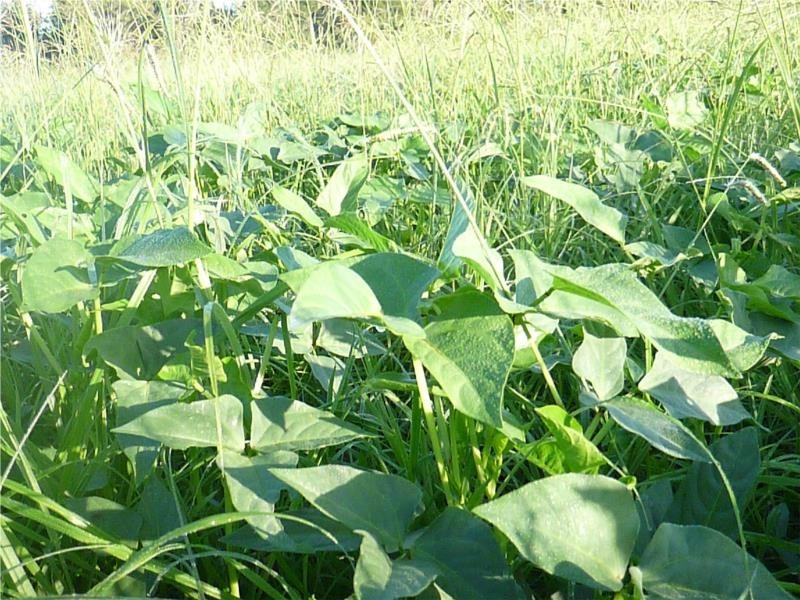 148 Power Road, Widgee QLD 4570