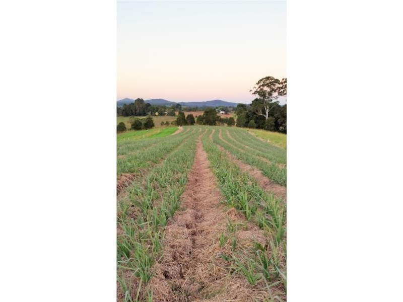 427 North Arm Road, Bowraville NSW 2449