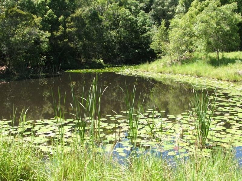 427 North Arm Road, Bowraville NSW 2449