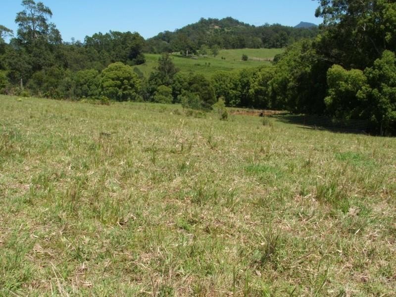 427 North Arm Road, Bowraville NSW 2449