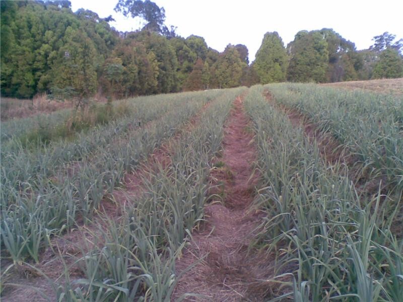 427 North Arm Road, Bowraville NSW 2449