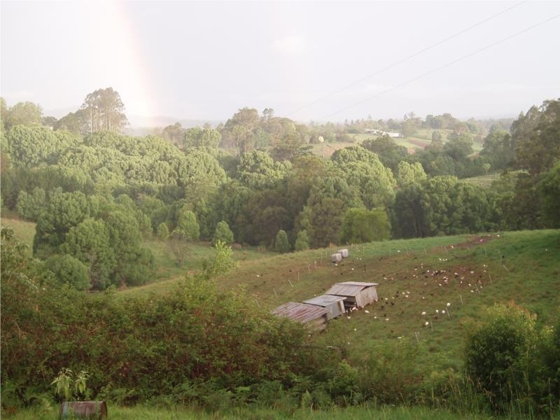 427 North Arm Road, Bowraville NSW 2449