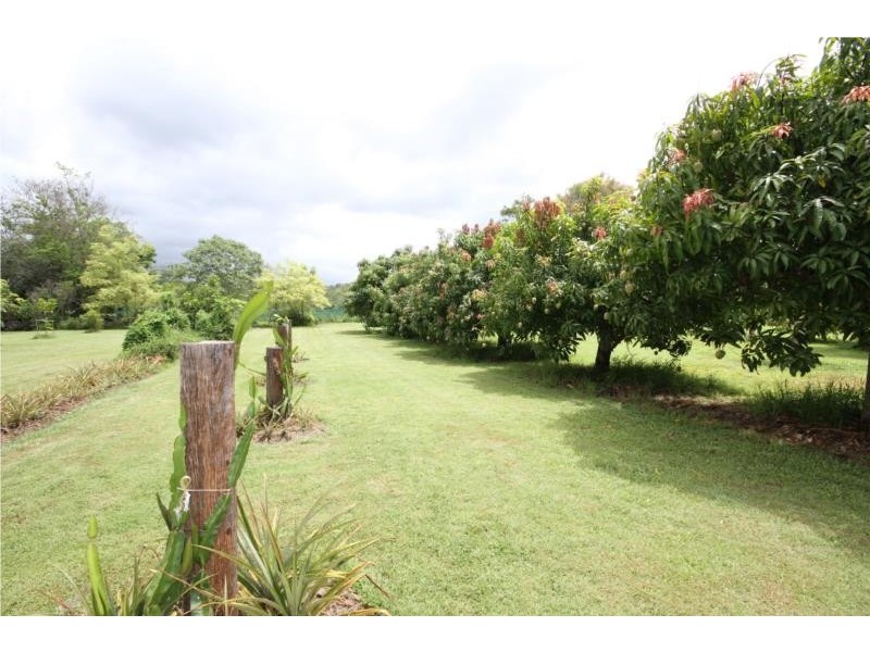 2354 Anderleigh Road, Neerdie QLD 4570