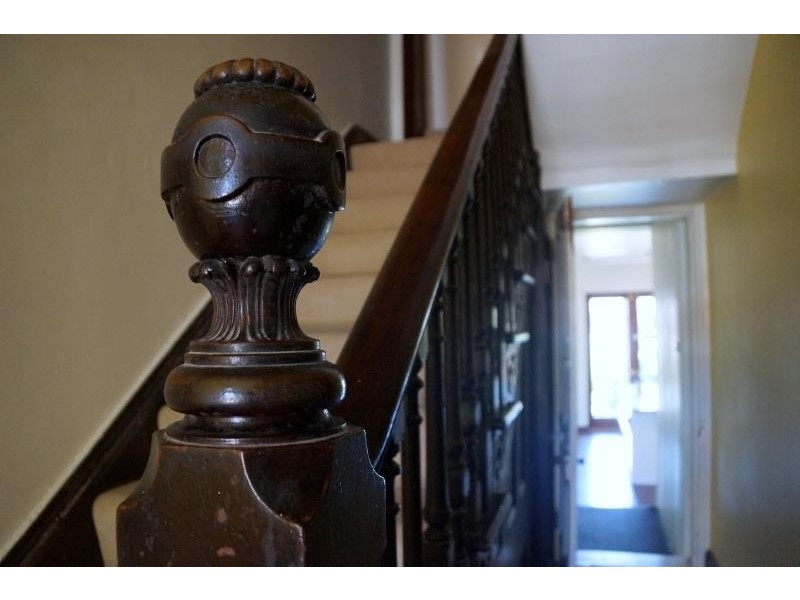 25 Conder Street, Burwood NSW 2134