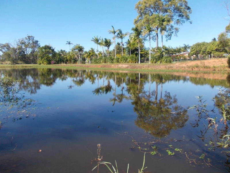 269 Moorlands Road, Meadowvale QLD 4670