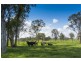 145 Levenstrath Road, Levenstrath NSW 2460