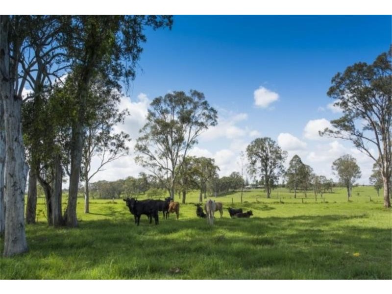 145 Levenstrath Road, Levenstrath NSW 2460