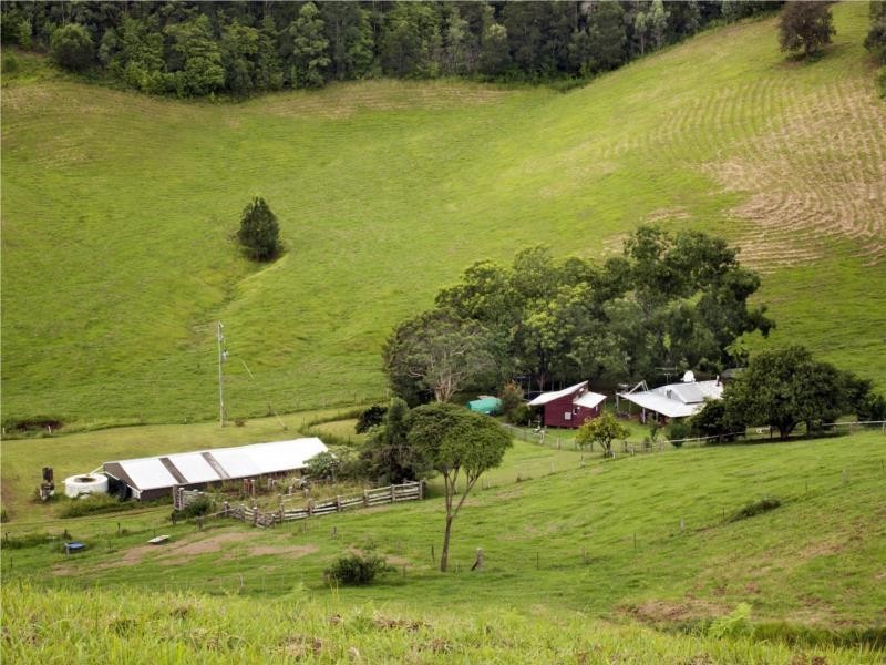 68 Kennaicle Creek Road, Missabotti NSW 2449