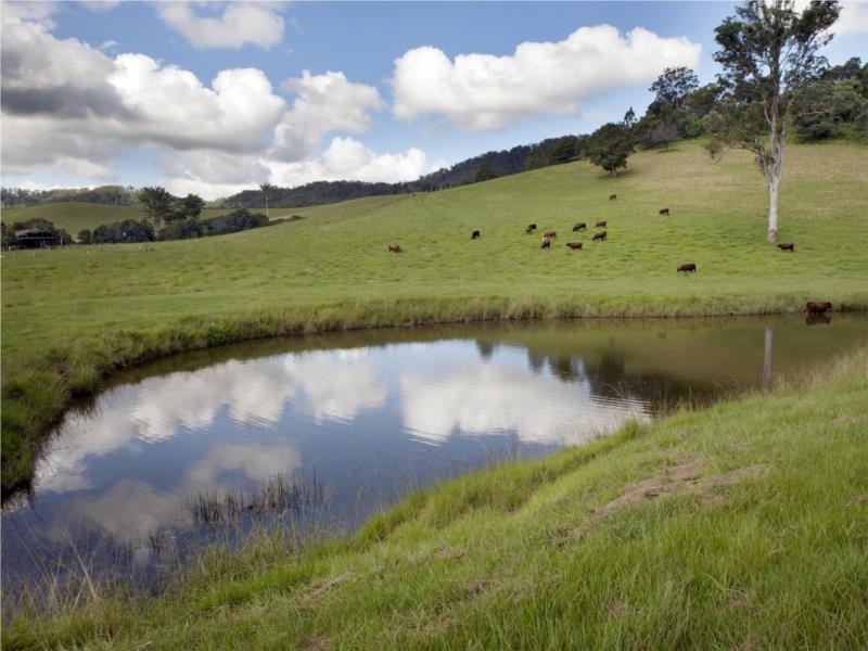 68 Kennaicle Creek Road, Missabotti NSW 2449