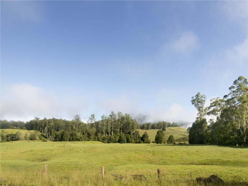 68 Kennaicle Creek Road, Missabotti NSW 2449