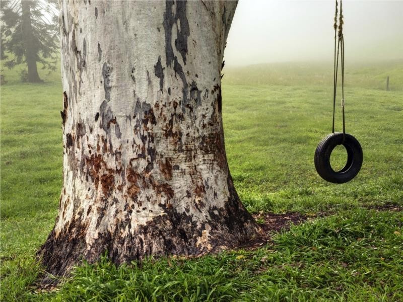 68 Kennaicle Creek Road, Missabotti NSW 2449