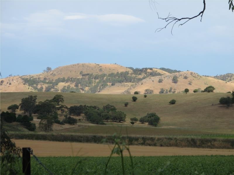 27 Lyndoch Valley Road, Lyndoch SA 5351