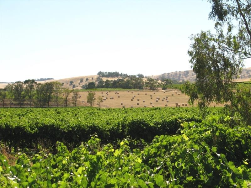 27 Lyndoch Valley Road, Lyndoch SA 5351