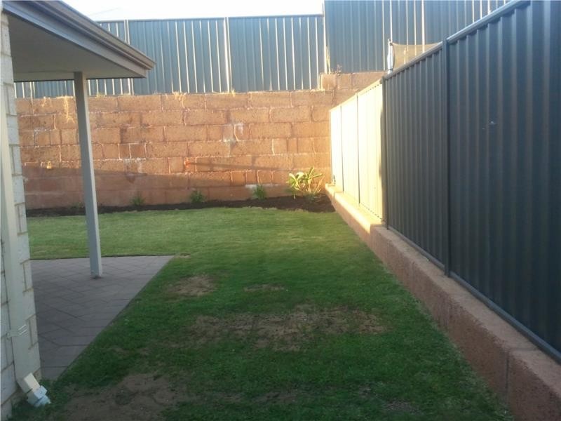 11 Reushaw Link, Baldivis WA 6171