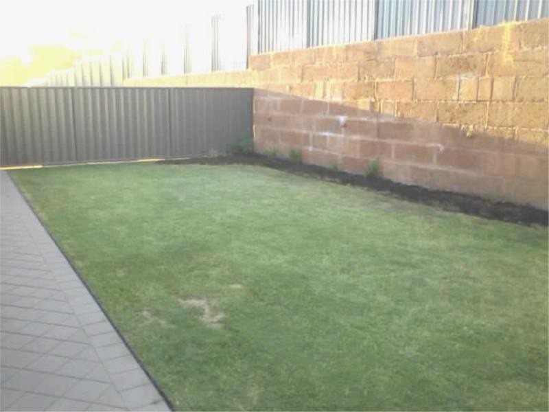 11 Reushaw Link, Baldivis WA 6171