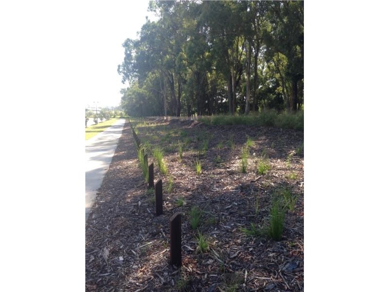 53 Wollombi Avenue, Ormeau Hills QLD 4208