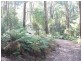 243 Maroondah Highway, Narbethong VIC 3778