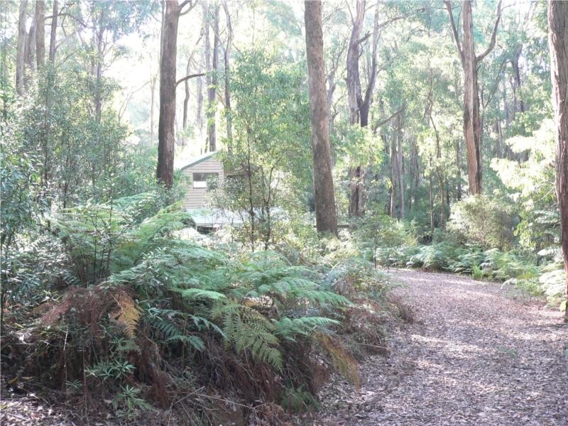 243 Maroondah Highway, Narbethong VIC 3778