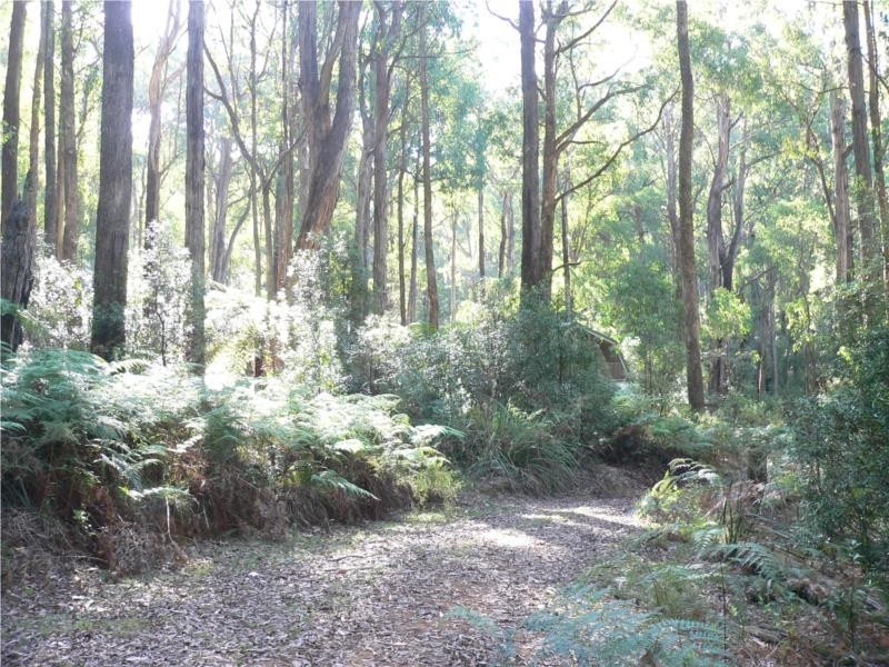 243 Maroondah Highway, Narbethong VIC 3778