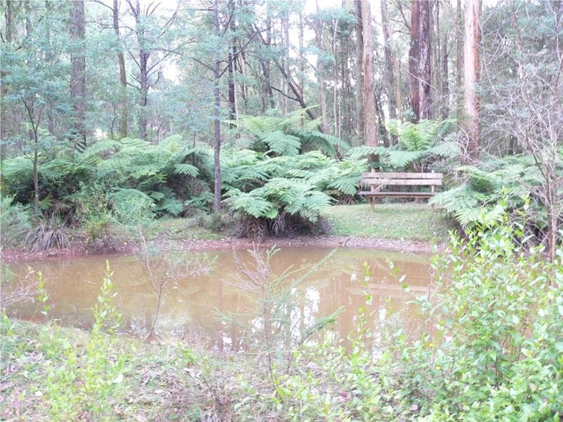 243 Maroondah Highway, Narbethong VIC 3778