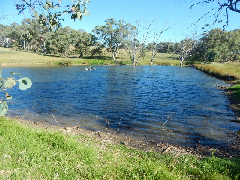 27 Gunnedah Road, Coolah NSW 2843