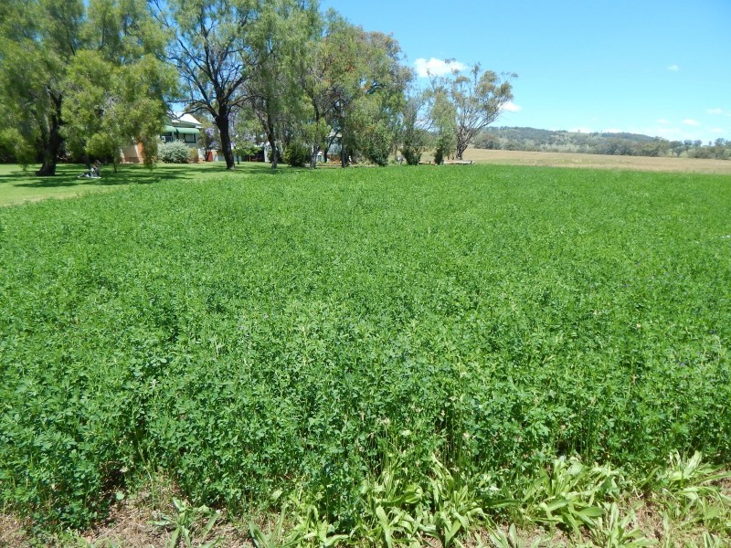 27 Gunnedah Road, Coolah NSW 2843