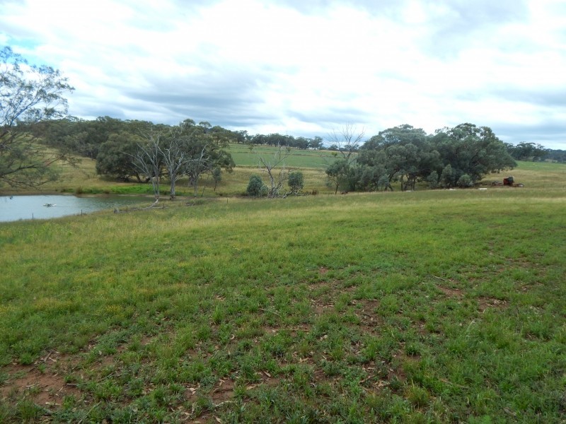 27 Gunnedah Road, Coolah NSW 2843