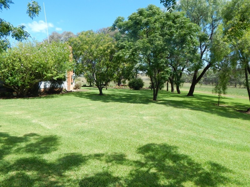 27 Gunnedah Road, Coolah NSW 2843