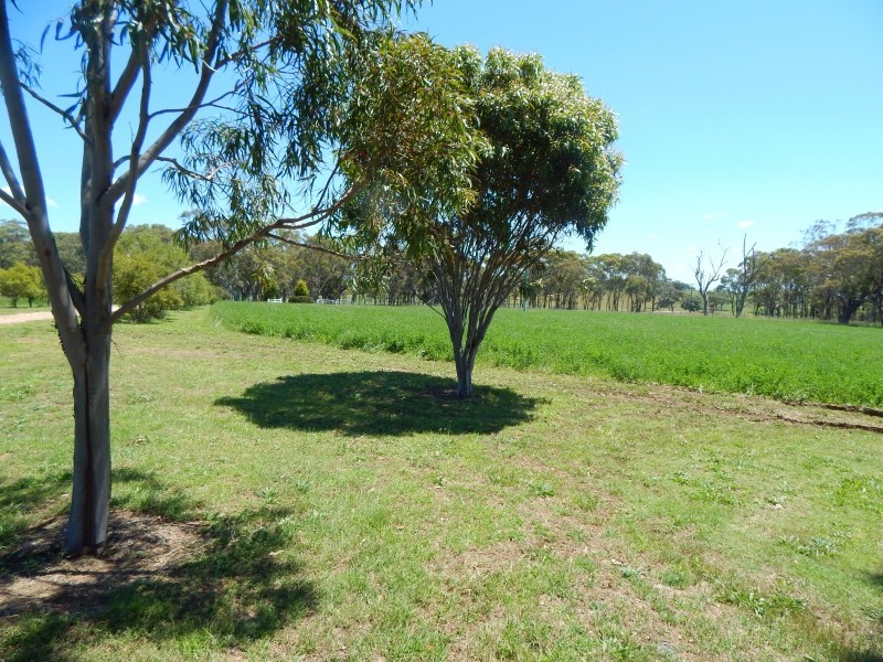 27 Gunnedah Road, Coolah NSW 2843