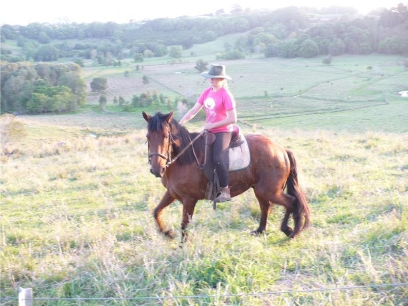 249 Duranbah Road, Duranbah NSW 2487