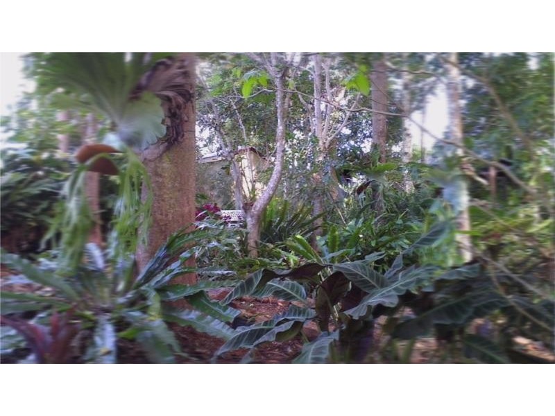 249 Duranbah Road, Duranbah NSW 2487