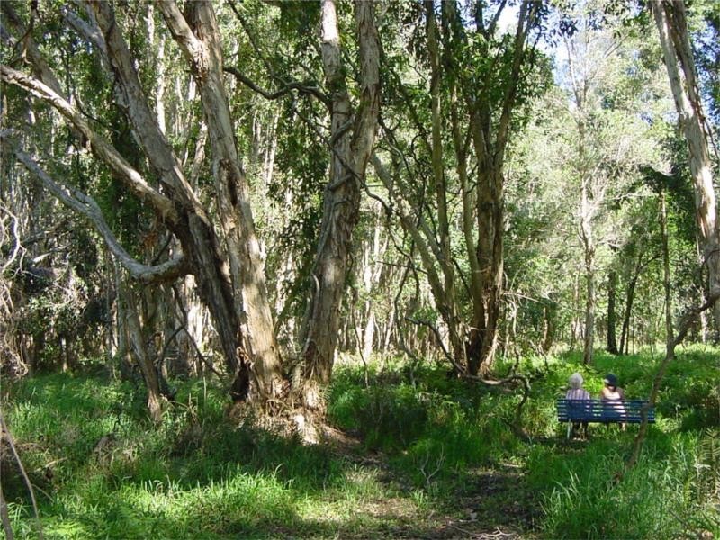 249 Duranbah Road, Duranbah NSW 2487