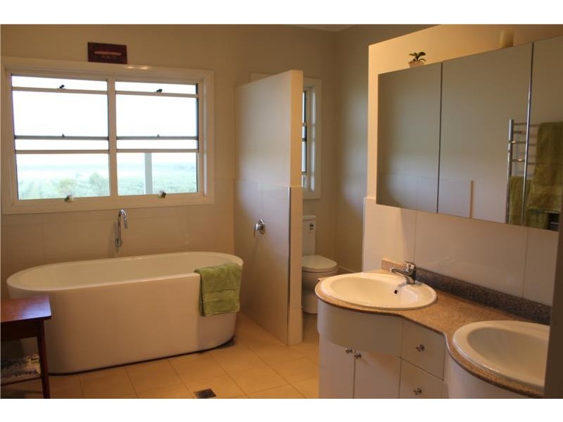 42 Trefolly Road, Singleton NSW 2330