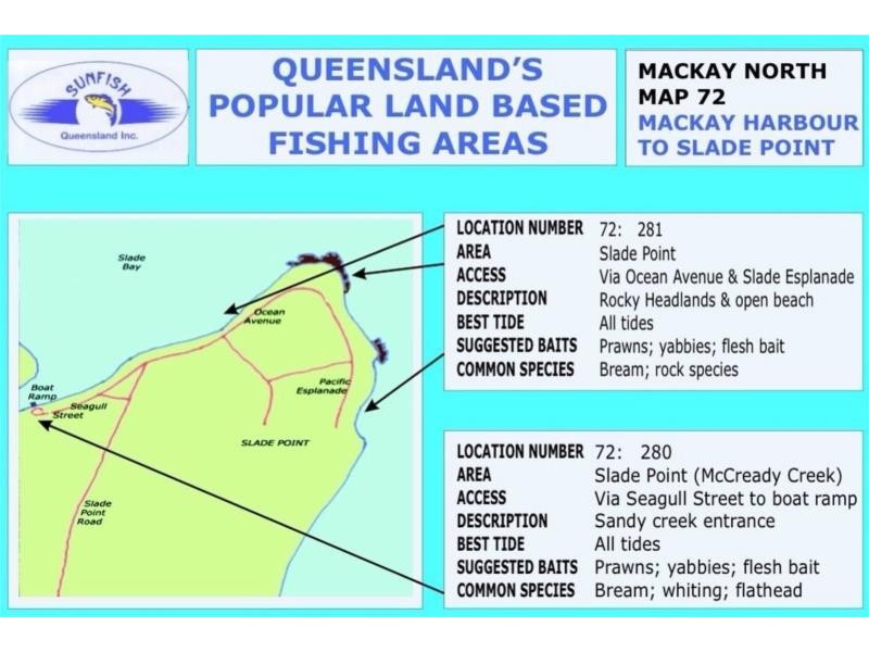 5 Curlew Street, Slade Point QLD 4740