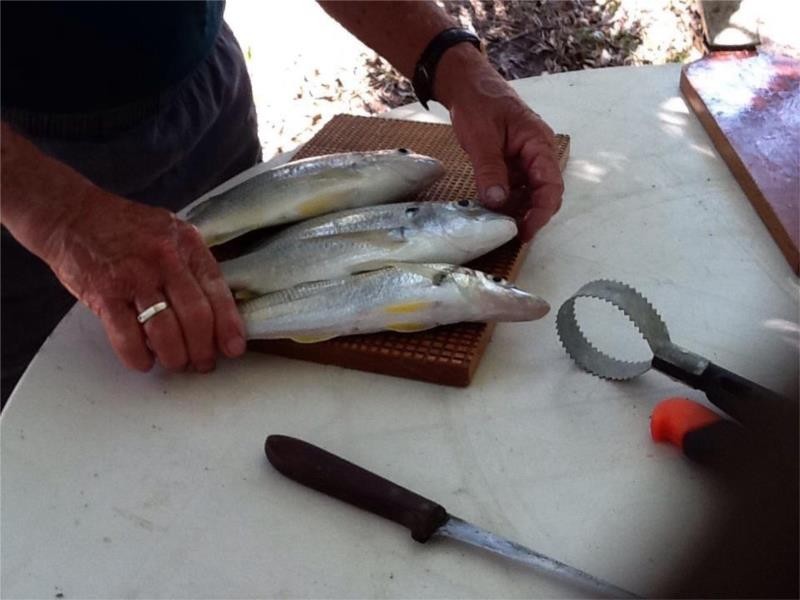 5 Curlew Street, Slade Point QLD 4740