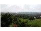 53 Woombye-Palmwoods Road, Woombye QLD 4559