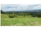 53 Woombye-Palmwoods Road, Woombye QLD 4559