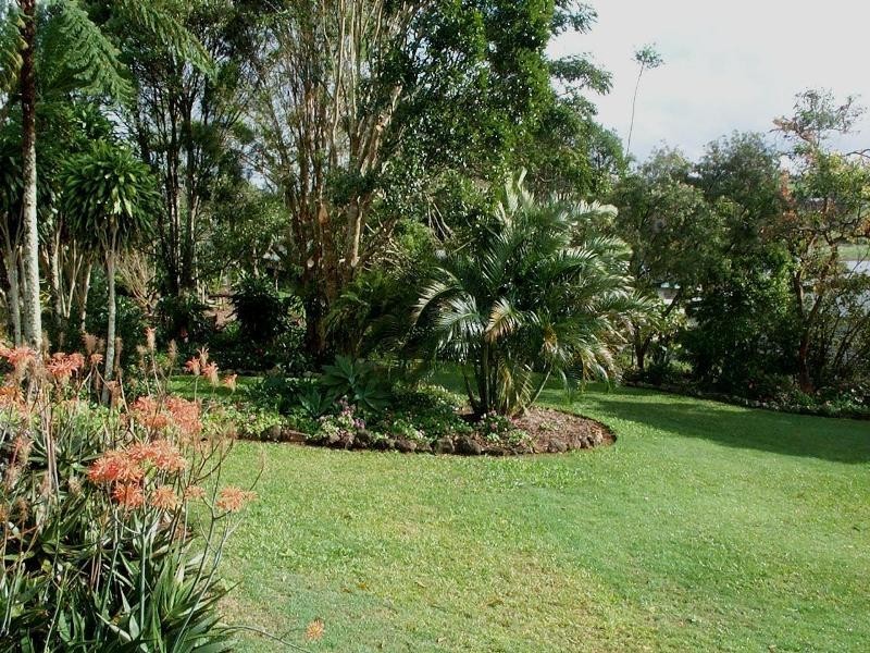 12 Wattle Close, Yungaburra QLD 4884