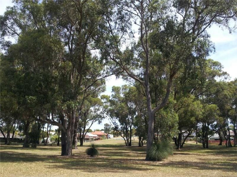 5 Augusta Grove, Yanchep WA 6035