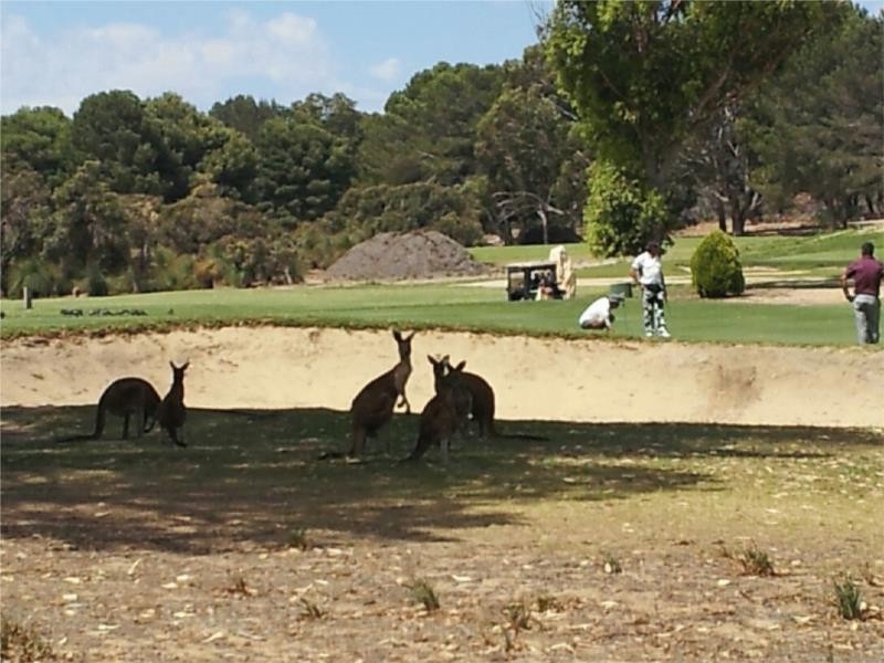 5 Augusta Grove, Yanchep WA 6035