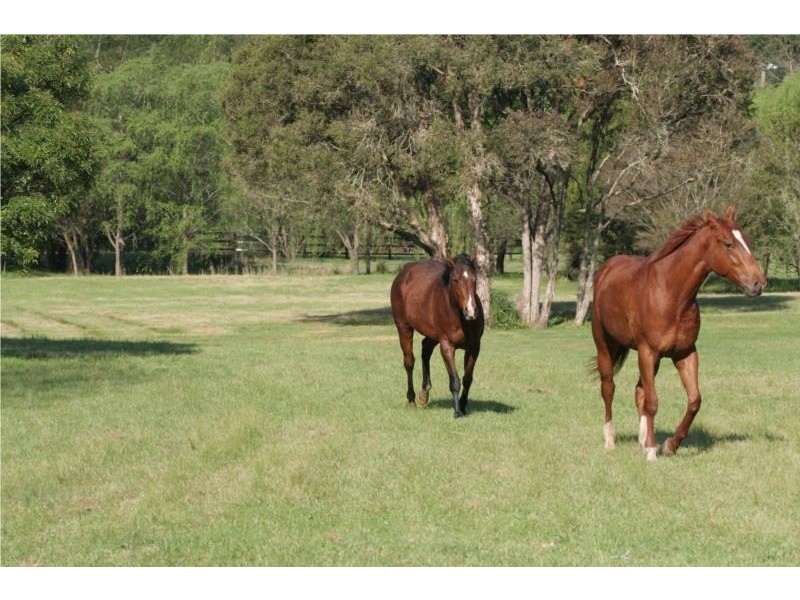 1060 Yarramalong Road, Wyong Creek NSW 2259