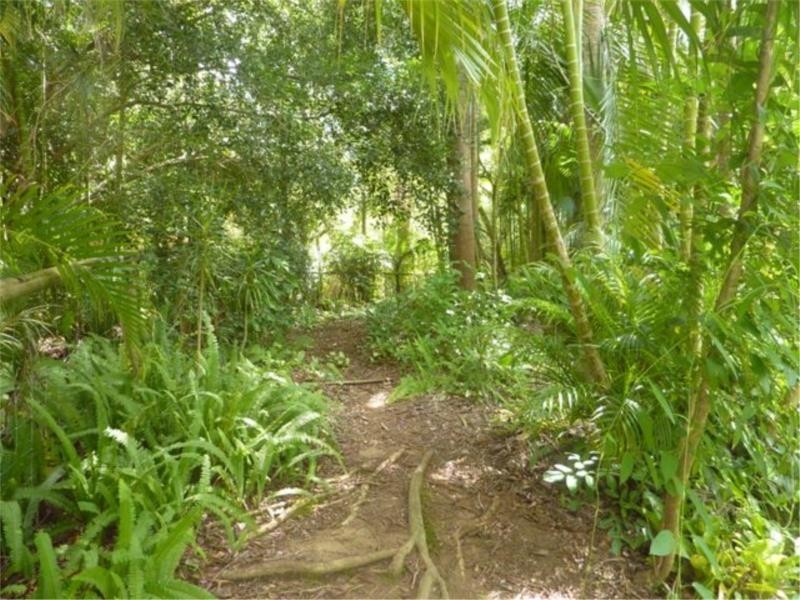 217 Old Peachester Road, Peachester QLD 4519