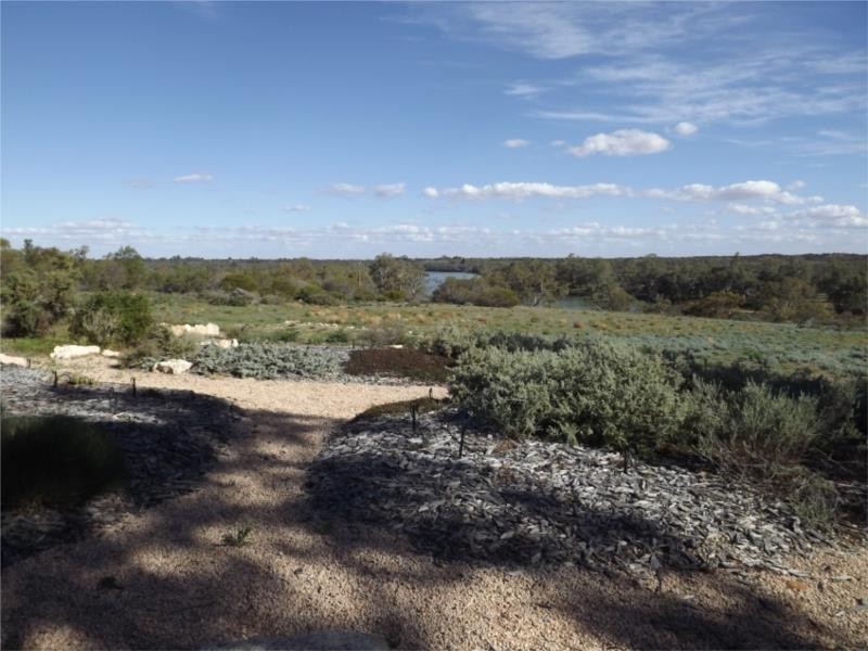 Lot 1 – 10560 Goyder Highway, Waikerie SA 5330