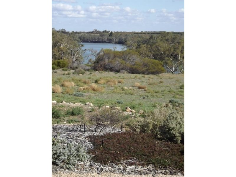 Lot 1 – 10560 Goyder Highway, Waikerie SA 5330