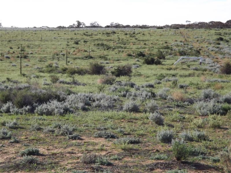 Lot 1 – 10560 Goyder Highway, Waikerie SA 5330