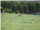 206 Boys Road, South Forest TAS 7330