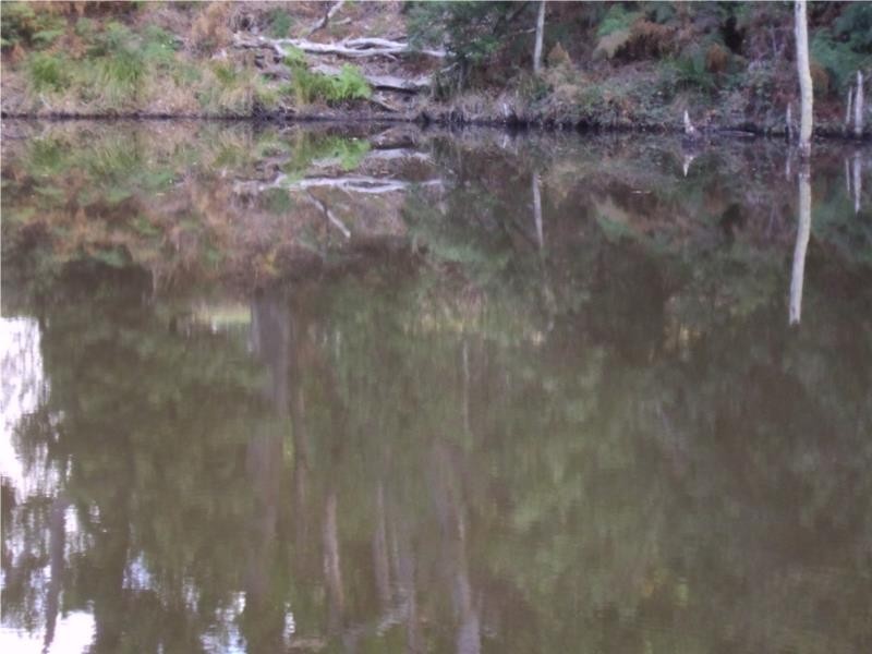 206 Boys Road, South Forest TAS 7330